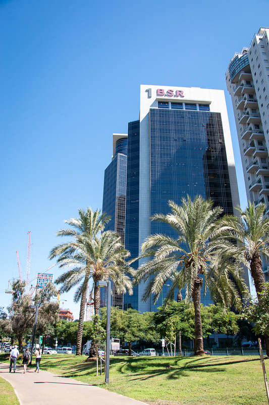 Teldan Offices in BSR Tower 1